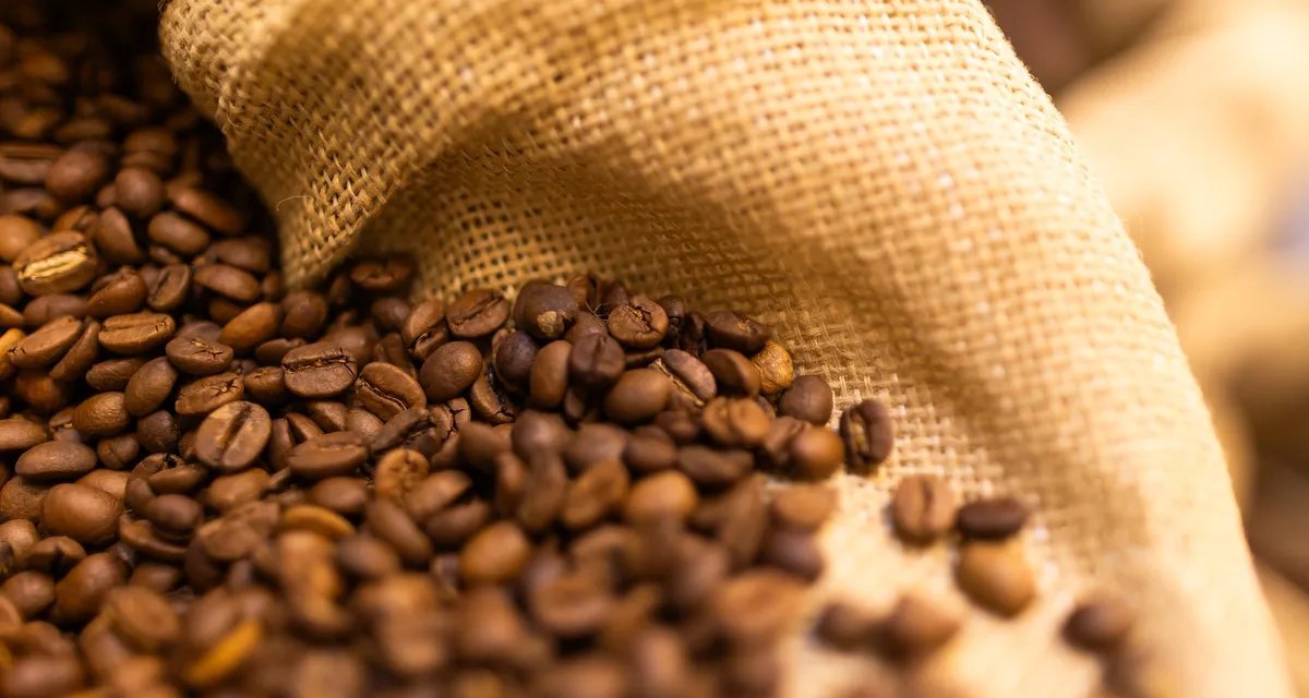 Café sobe quase 3% e lidera ganhos dos contratos agrícolas em Nova York - Imagem do artigo