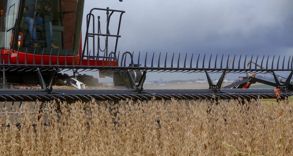 Arrecadação de prêmios do seguro rural recua 17% entre janeiro e julho - Imagem do artigo
