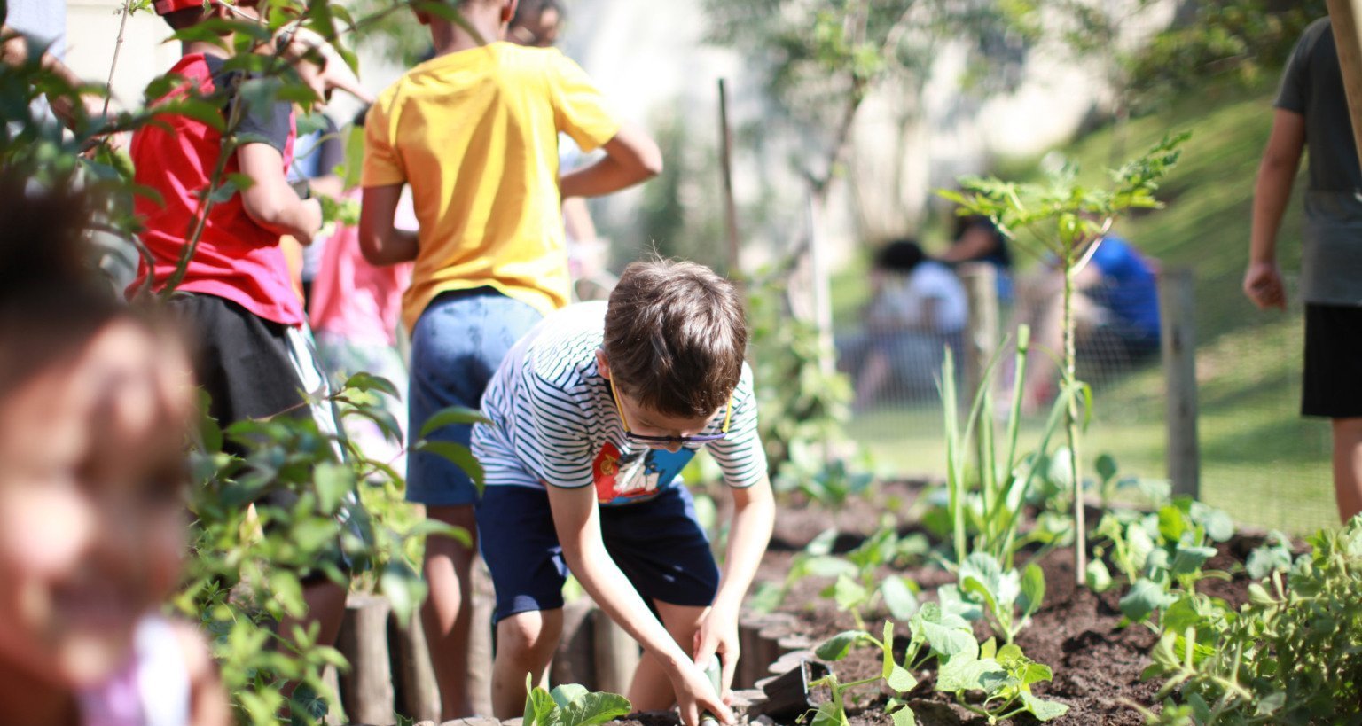 Prefeitura de São Paulo recebe inscrições para terceira edição do programa Acelerando Hortas - Imagem do artigo