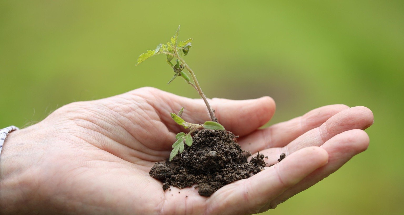 Setor agropecuário pede mudanças no Plano Clima e contesta responsabilização por desmatamento - Imagem do artigo