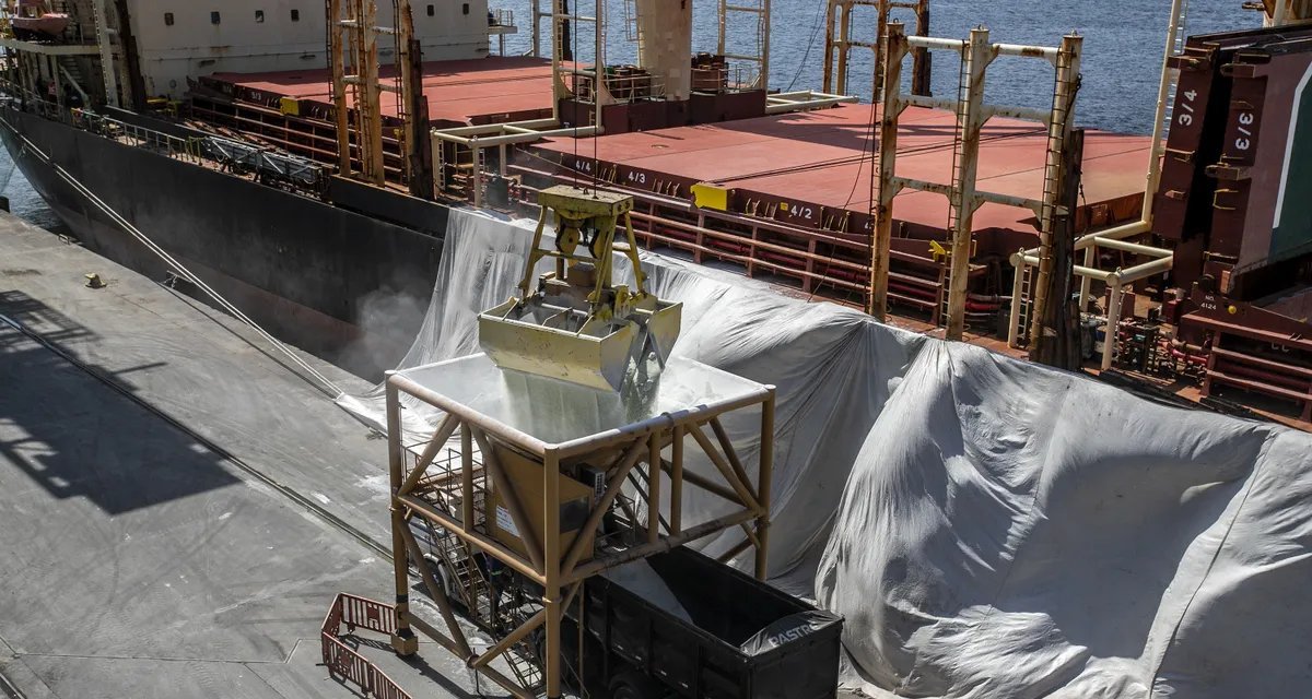 Entrega de fertilizantes deve superar 48 milhões de toneladas em 2025, prevê Agrinvest - Imagem do artigo