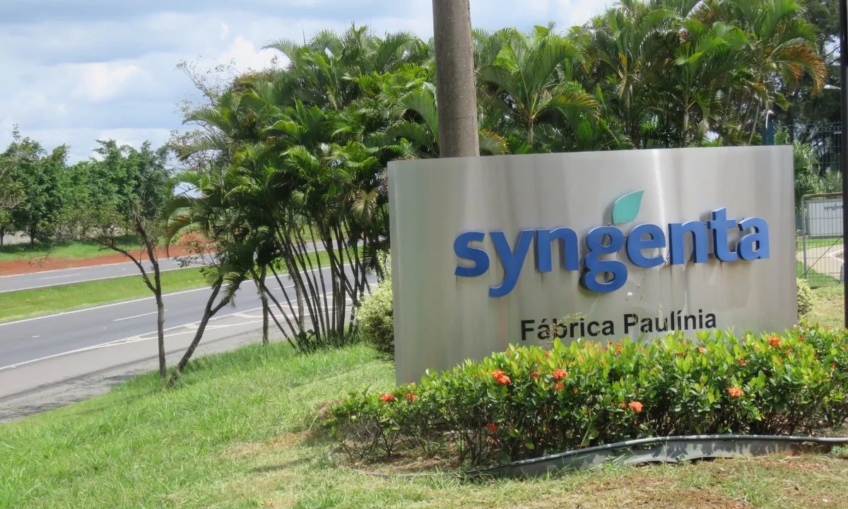 Syngenta vê recuo de 6% nas vendas do terceiro trimestre - Imagem do artigo