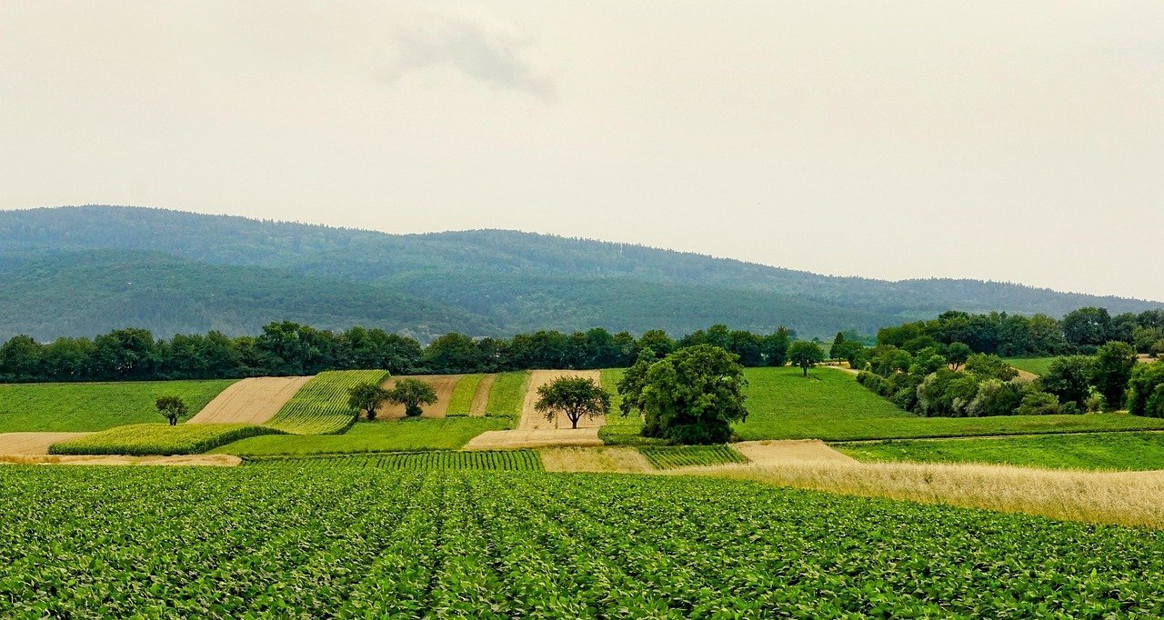 Fundação Dom Cabral leva recomendações sobre metas climáticas e carbono a ministérios - Imagem do artigo