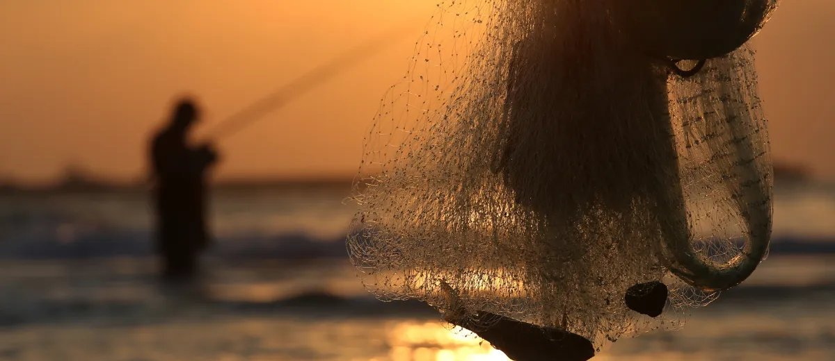 Defeso da piracema proíbe pesca de espécies nativas em São Paulo até 28 de fevereiro de 2026 - Imagem do artigo