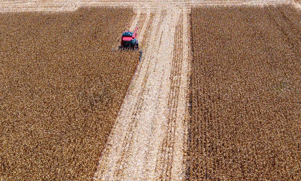 Cotações de commodities agrícolas oscilam em outubro entre oferta, demanda e tensões comerciais - Imagem do artigo