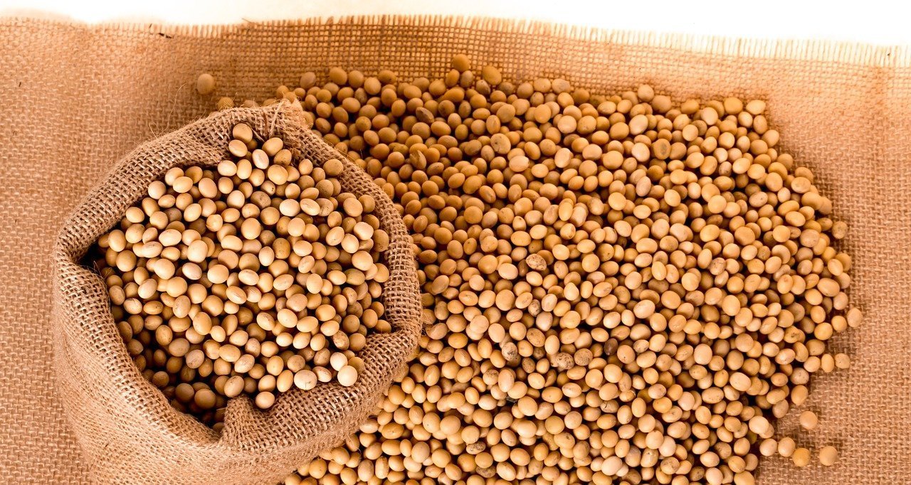 Acordo entre EUA e China faz preços da soja subirem em Chicago e sustenta ganho de 10% no mês - Imagem do artigo
