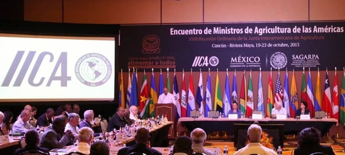 Países se dividem na disputa pelo comando do IICA para o período 2026-2030 - Imagem do artigo