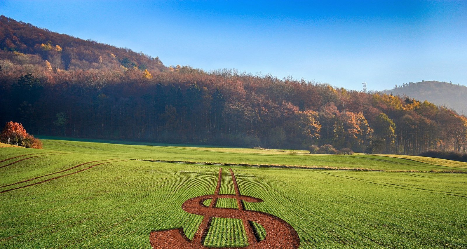 Corte de verba deve limitar seguro rural a 2% da área plantada em 2025, diz CNseg - Imagem do artigo