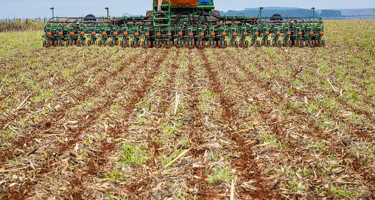 SLC Agrícola encerra 3º trimestre com prejuízo de R$ 14,5 milhões - Imagem do artigo