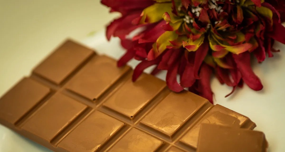 Três marcas brasileiras conquistam medalhas no International Chocolate Awards - Imagem do artigo
