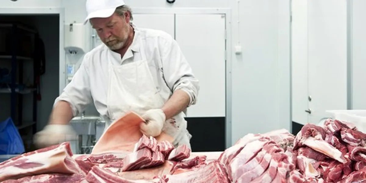 Abate de bovinos avança 7% no 3º trimestre de 2025, aponta IBGE - Imagem do artigo