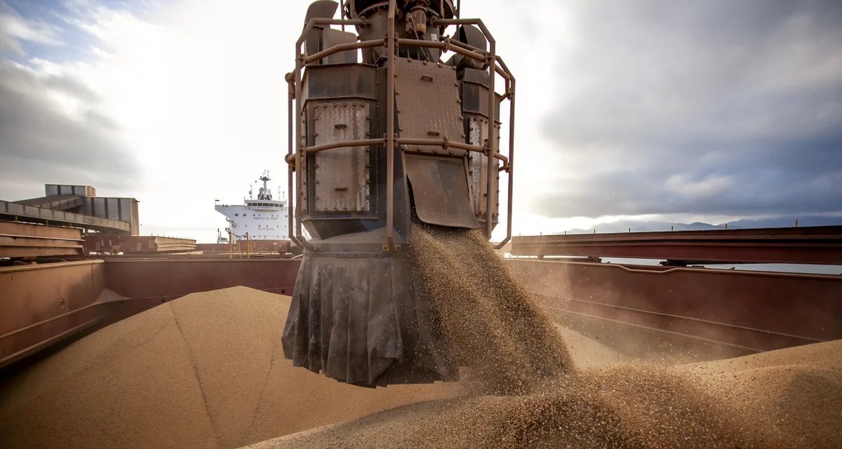 Rumores apontam compra de 1,3 milhão de toneladas de soja dos EUA pela China - Imagem do artigo