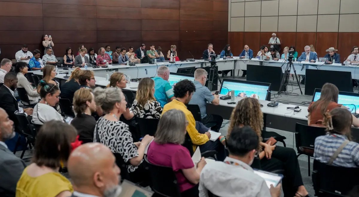 Representação do agronegócio na COP 30 divide líderes do setor em Belém - Imagem do artigo