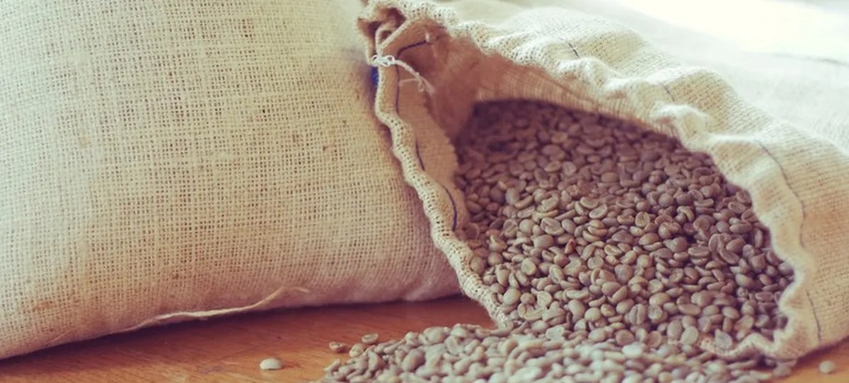 Exportadores preveem seis meses para normalizar embarques de café aos EUA - Imagem do artigo