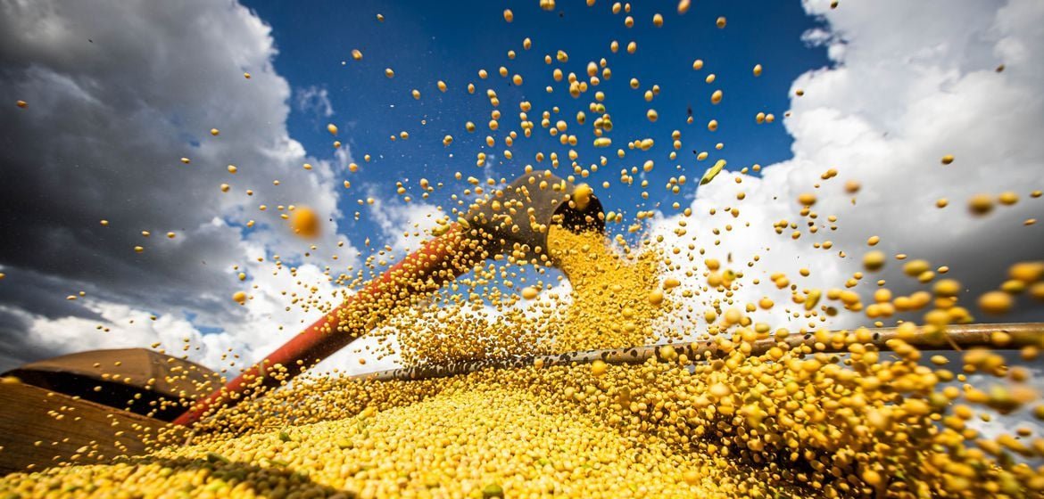 Preço da soja supera US$ 11 em Chicago e projeta exportação recorde do Brasil em 2025 - Imagem do artigo