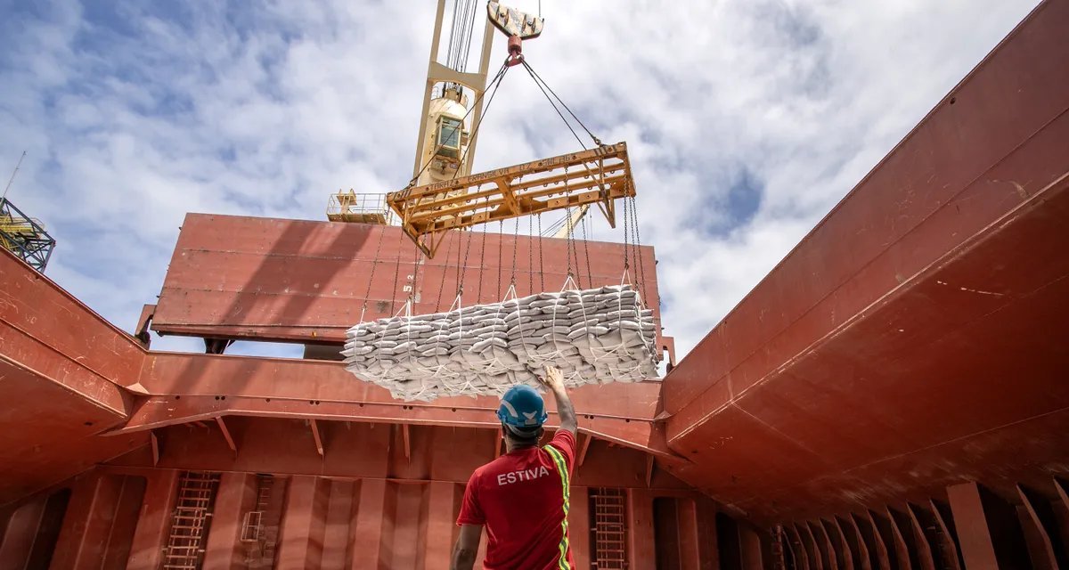 Novas aberturas de mercado somam US$ 3 bilhões às exportações do agronegócio brasileiro - Imagem do artigo