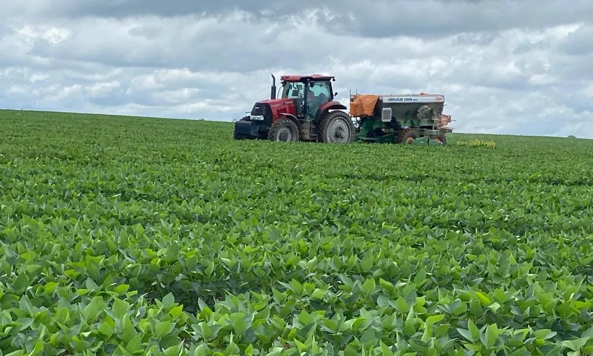 Itaú BBA prevê safra recorde de soja em 2025/26 com clima favorável - Imagem do artigo