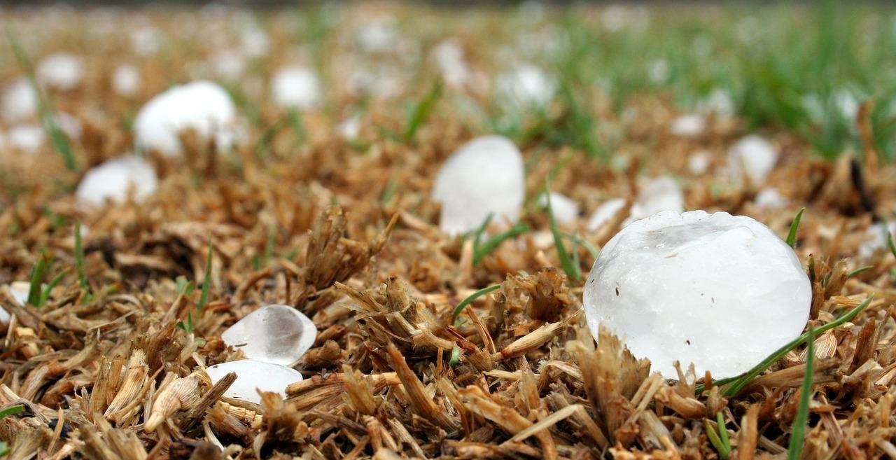 Chuvas e granizo comprometem 270 mil hectares de soja no Paraná; 80 mil terão de ser replantados - Imagem do artigo