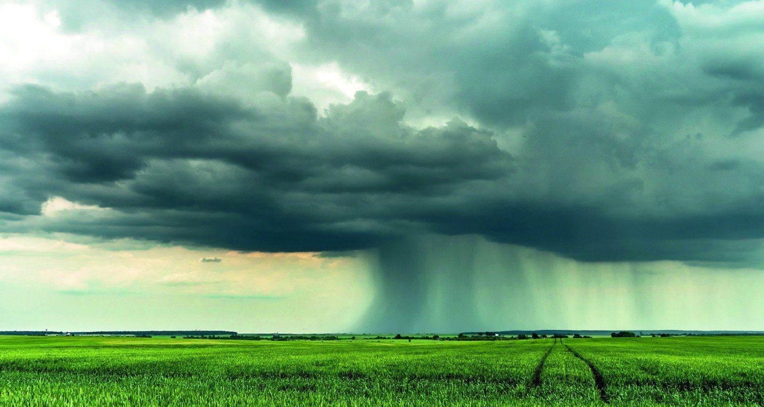 FGV Agro sugere que seguro rural brasileiro adote modelo de Espanha e Estados Unidos - Imagem do artigo