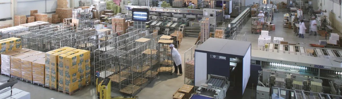 Global Eggs adquire Avícola Tratante e amplia operação na Espanha - Imagem do artigo